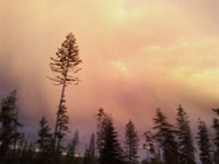 Thumbnail of Quesnel Sunset